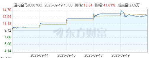 通化金马1.jpg