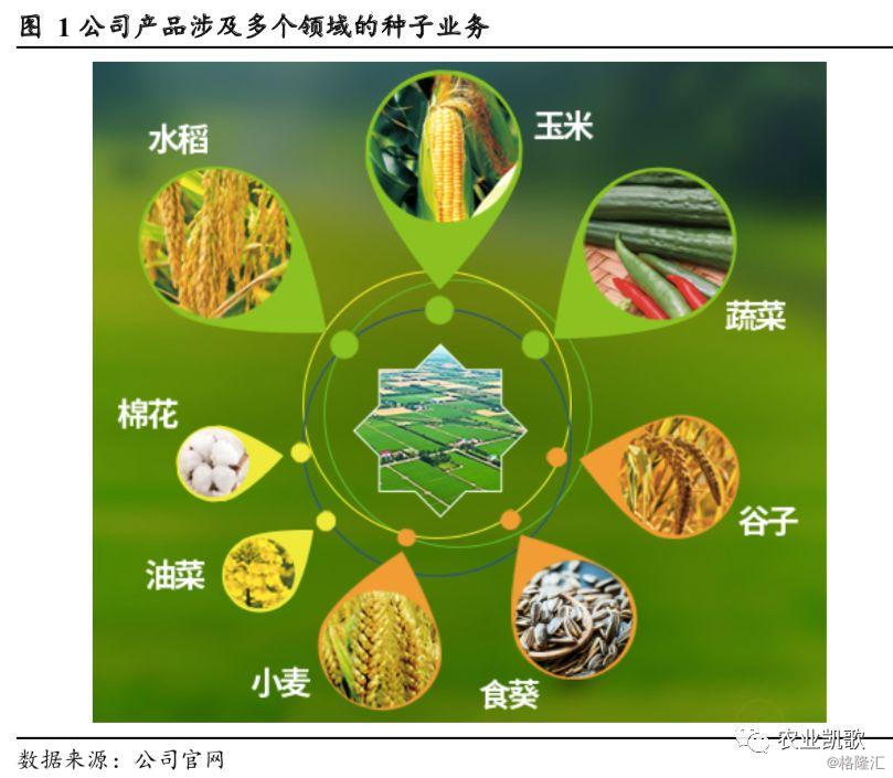 sz):转基因杂交双优势 未来种业巨头