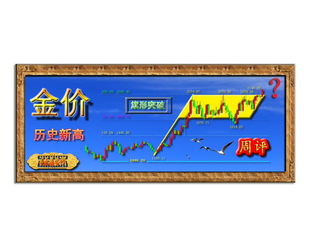 0000wb1000-800.png