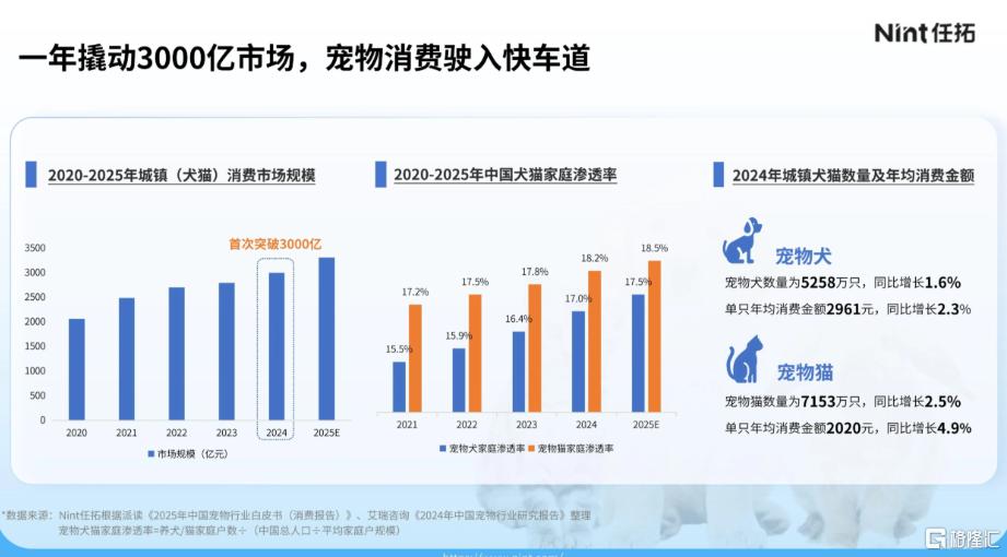 图片13.png