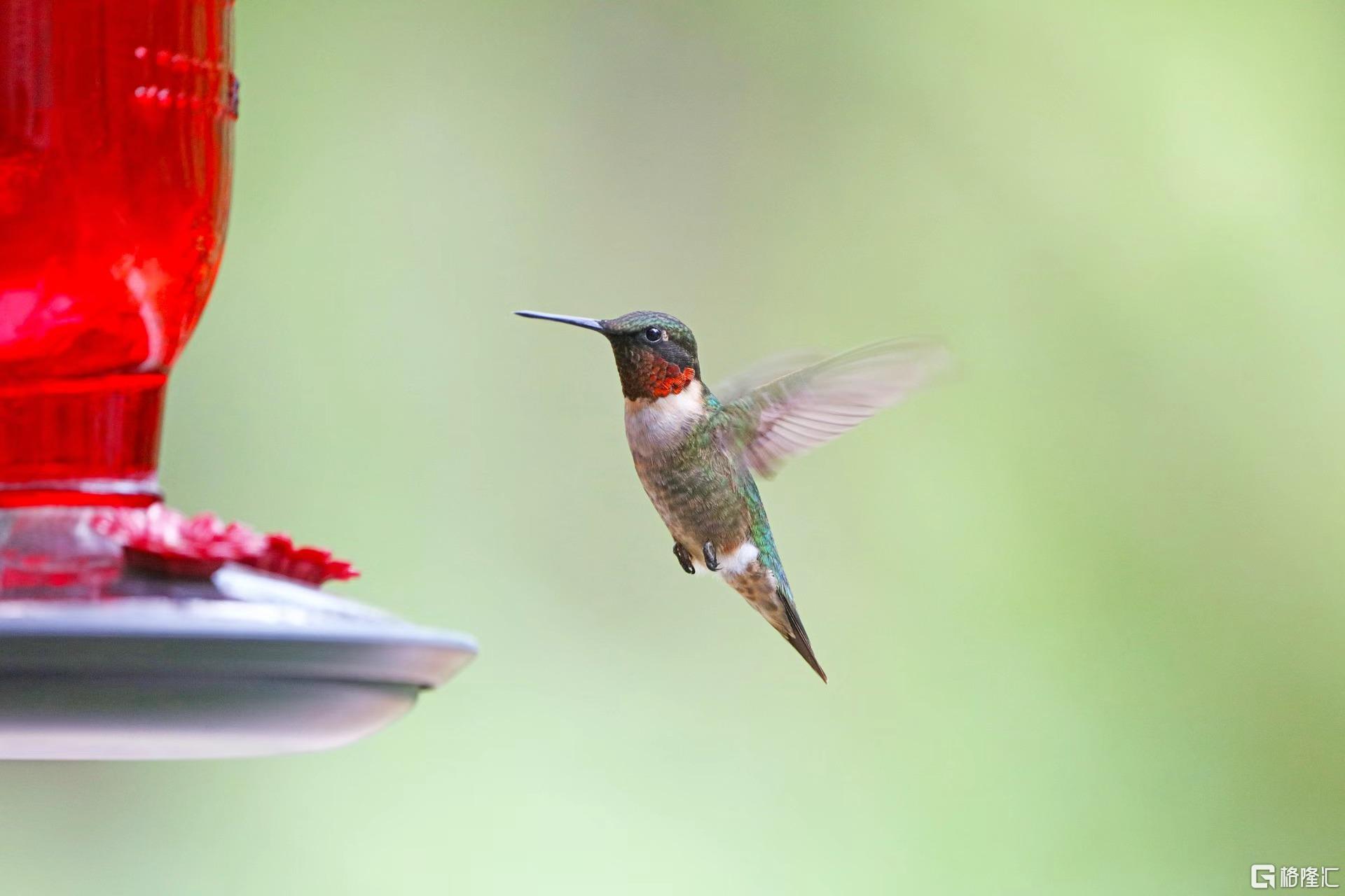 8b858d55ed7c3d0ff18171c0fa68958e.jpg