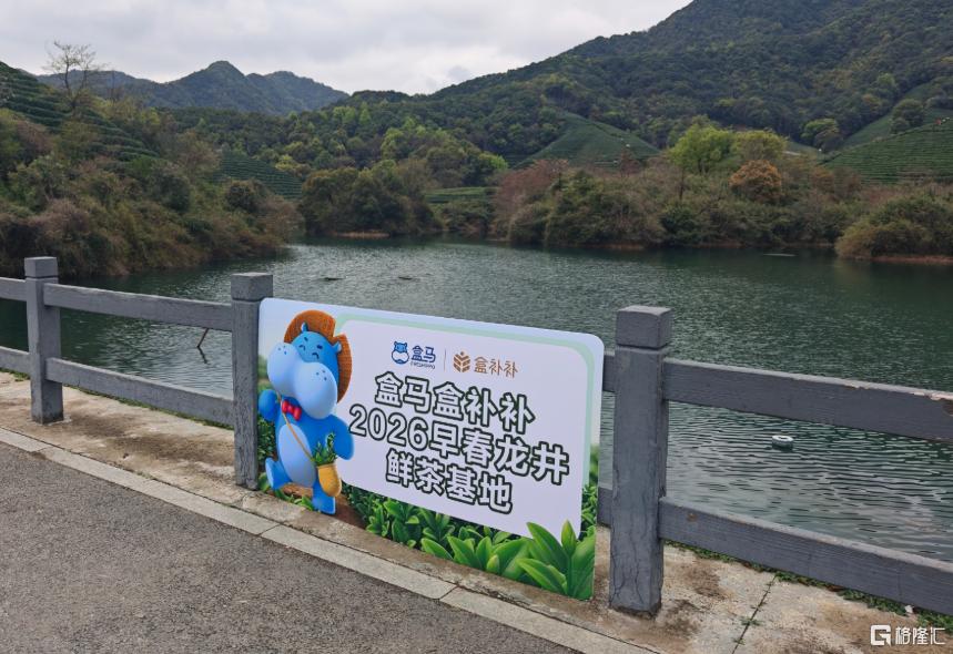 图片13.png