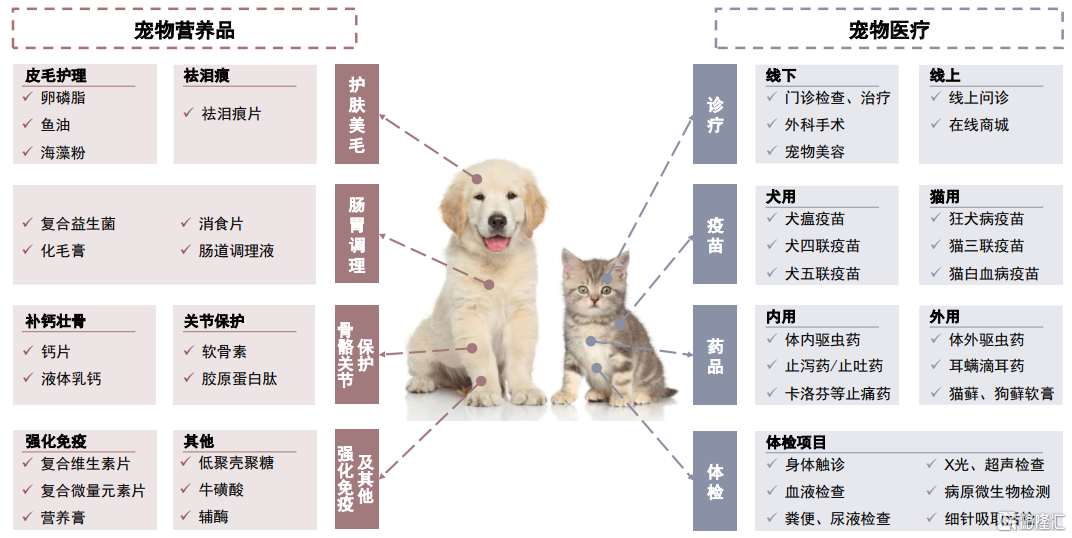 宠物保健 鼎革创新 藏器待时