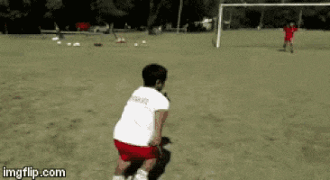 4.gif