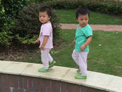 5.gif