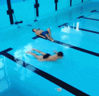 7.gif