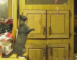 11.gif