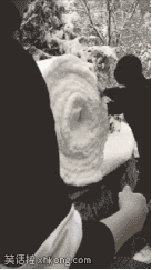 13.gif