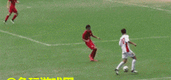 15.gif