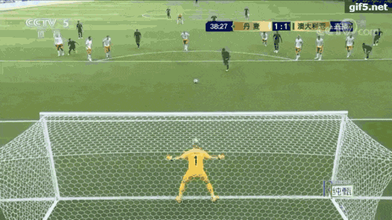 31.gif