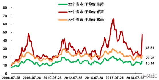 港股猪肉股走势分化,万洲国际(00288.hk)缘何下跌?