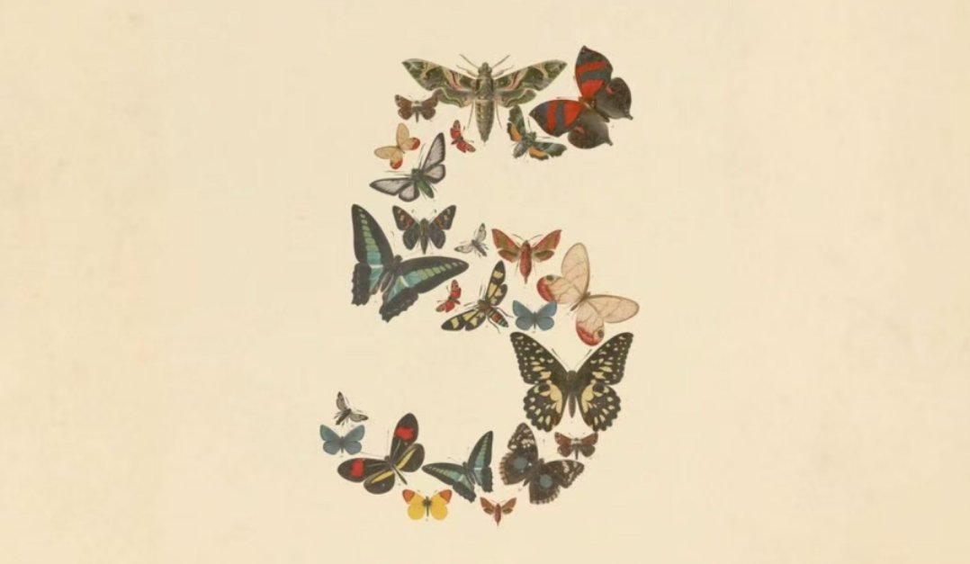 cover_pic