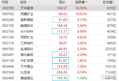 锂矿股午后持续走高，天华超净反包大涨13%