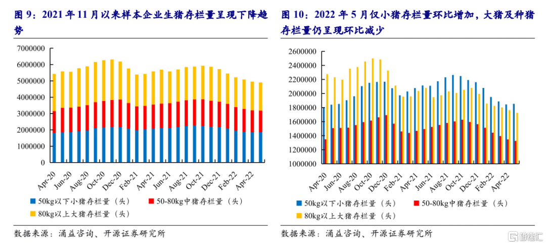 12元/公斤,猪料比价4.73,预期盈利226.97元/头,猪粮比价5.78.