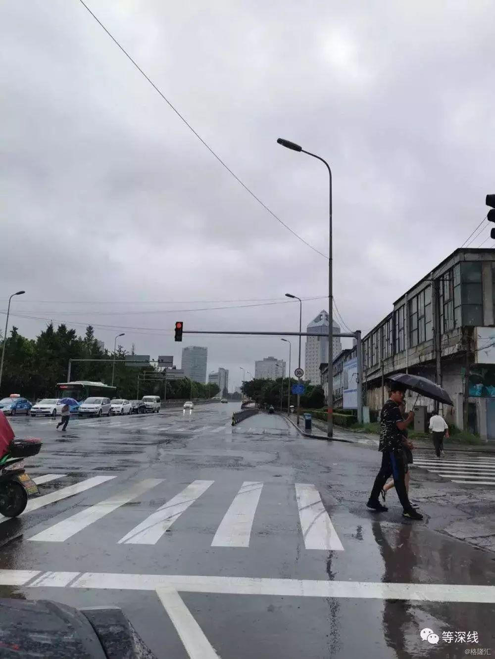 徐翔的爱情和他的炒股秘籍港美股资讯 华盛通 徐翔的爱情和他的炒股秘籍港美股资讯 华盛通