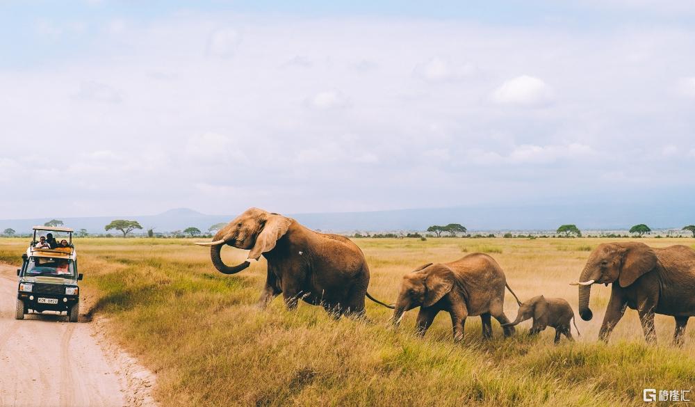 AMBOSELI 14 (1).jpg