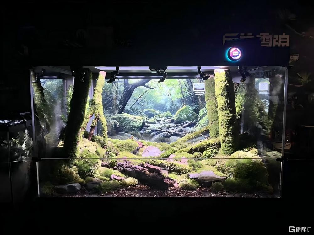 6（1）.jpg