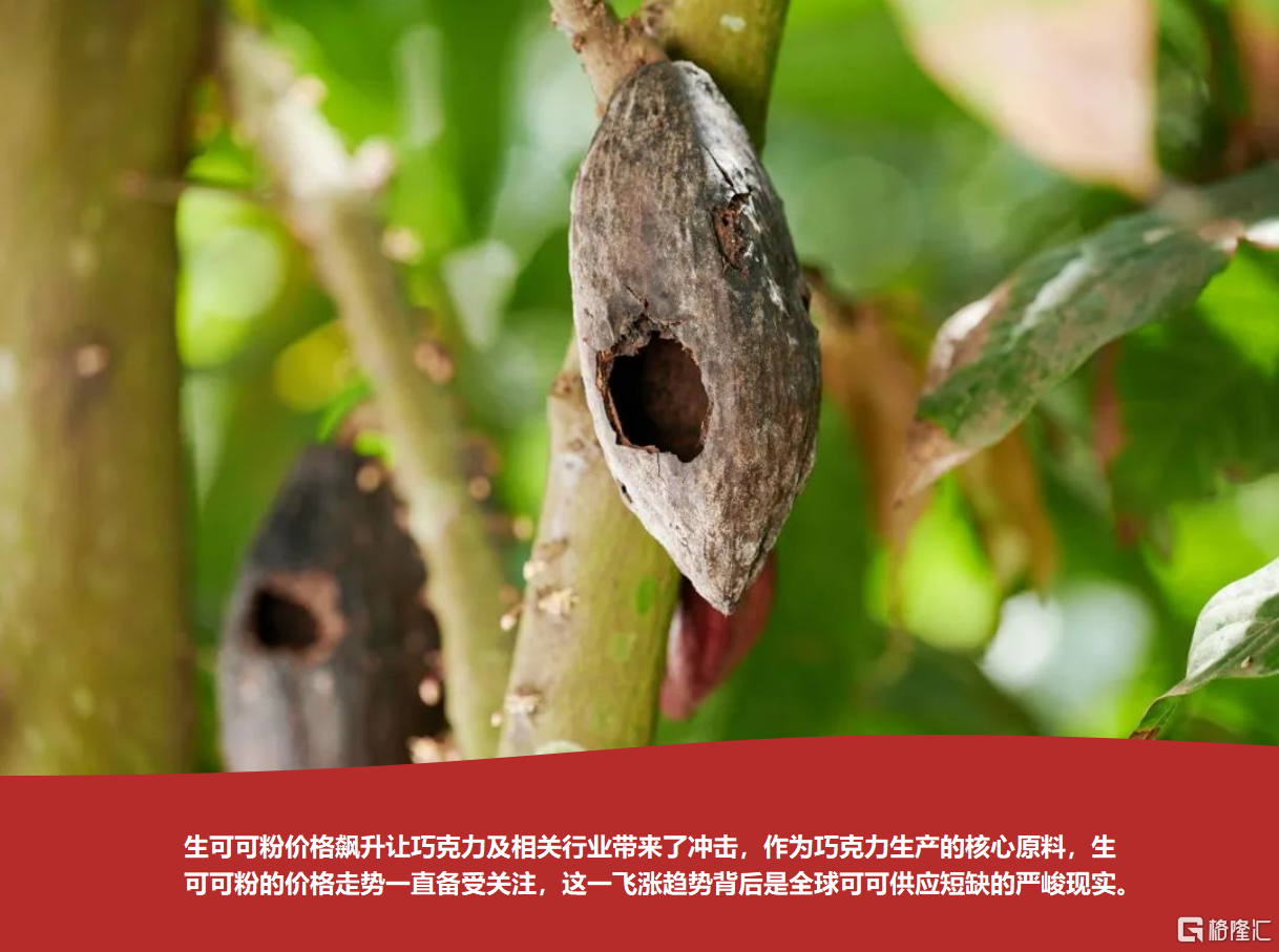 微信图片_20250213172943.png