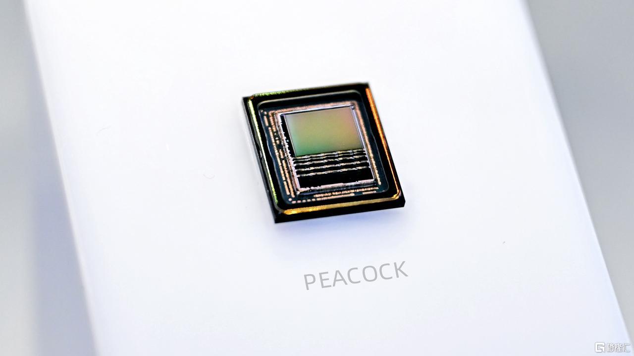 6.jpeg
