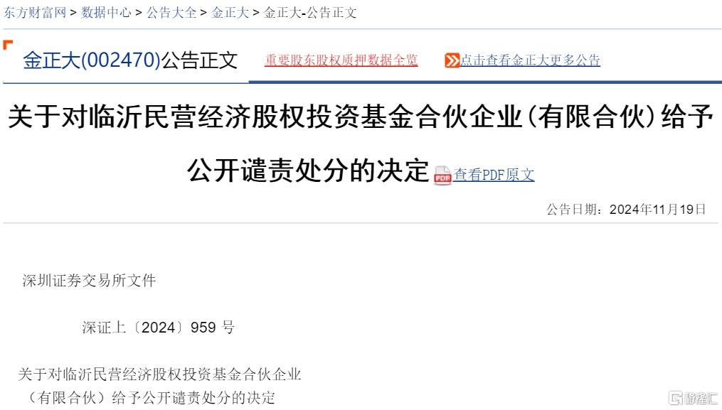 金正大.jpg