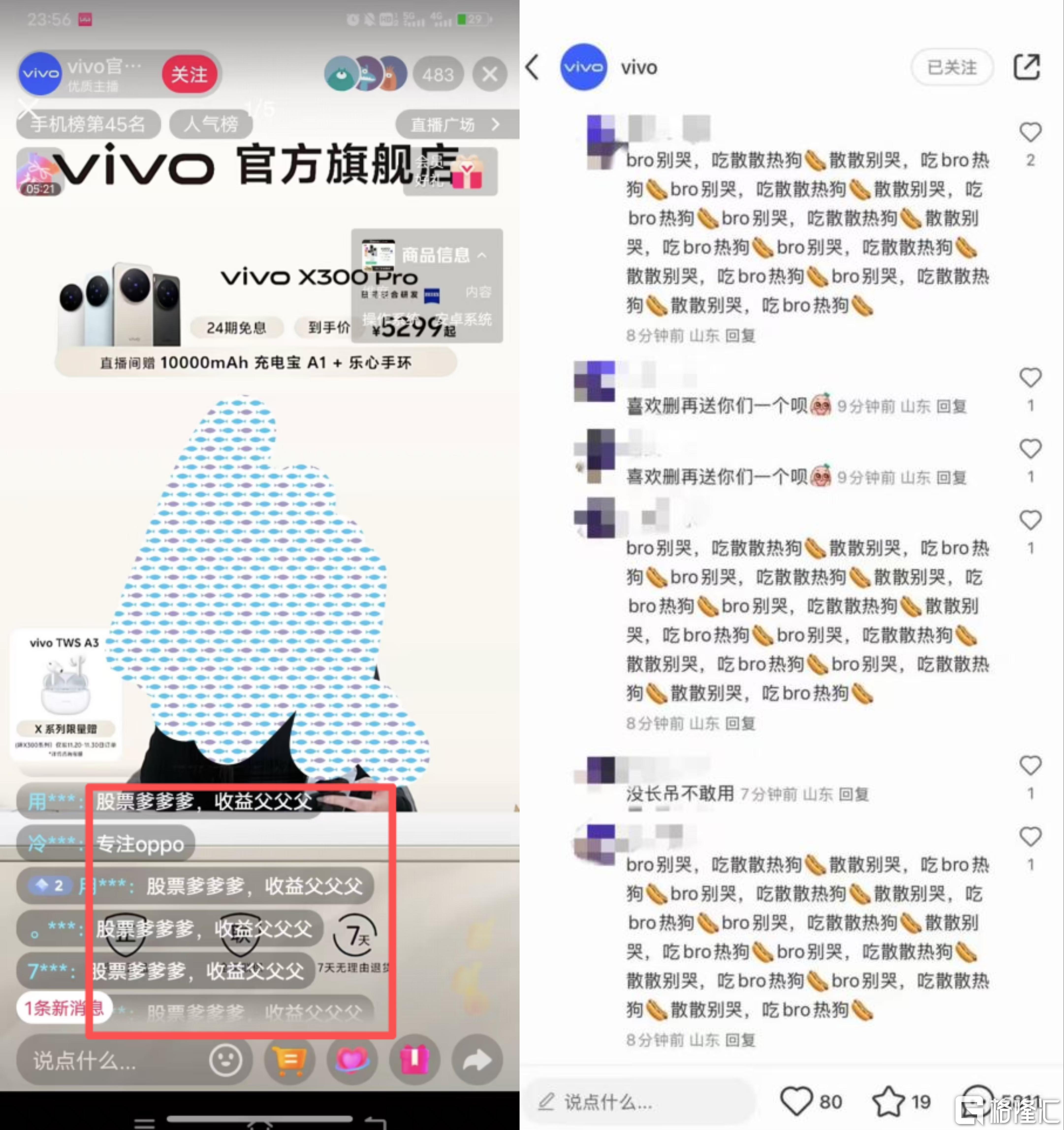 3vivo.jpg