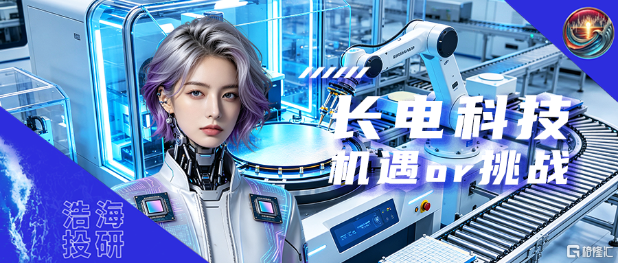 新模板2024.11.13.png