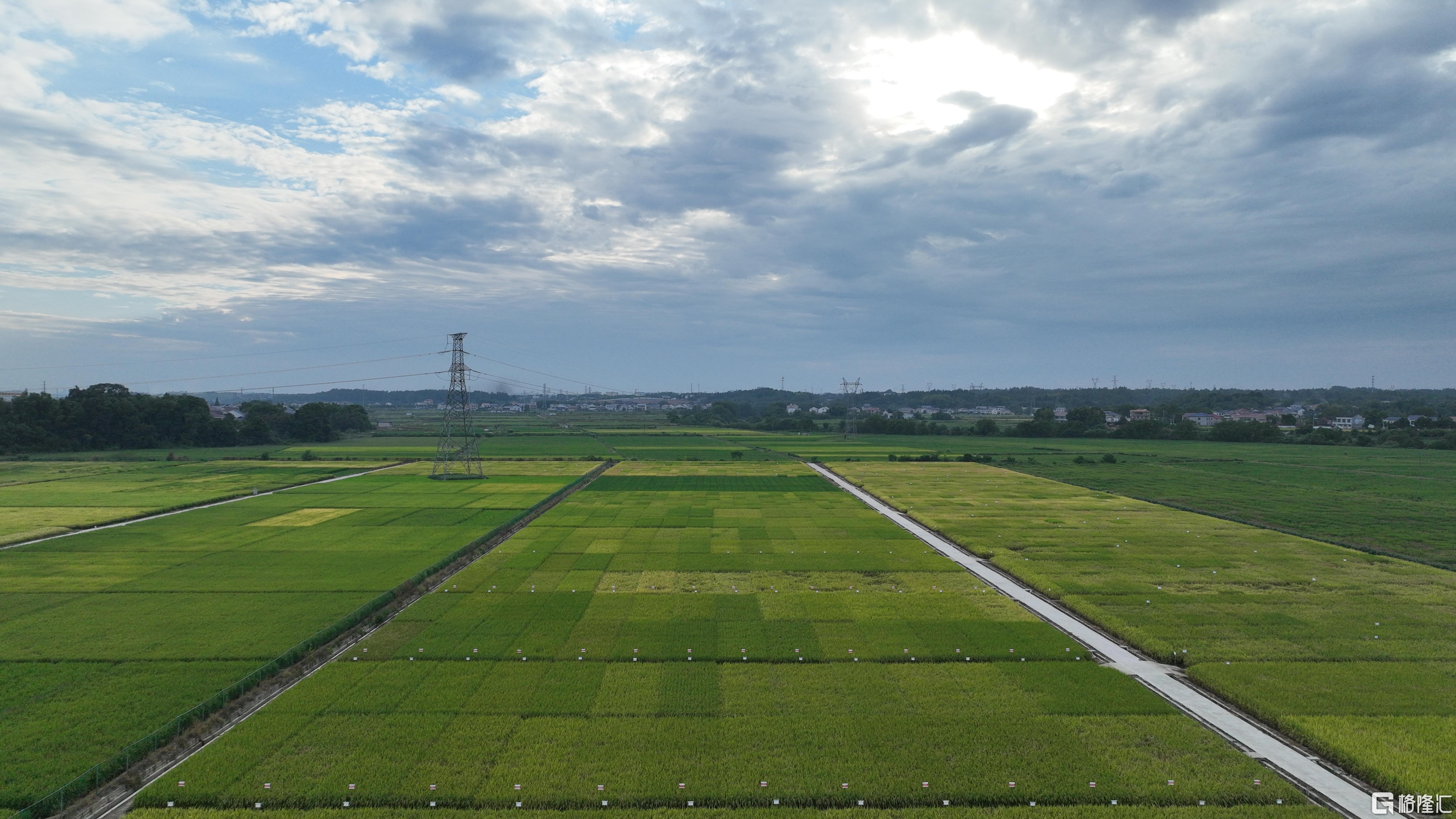 DJI_0147.JPG