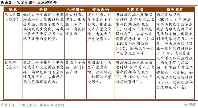 人均口粮消费_消费图片