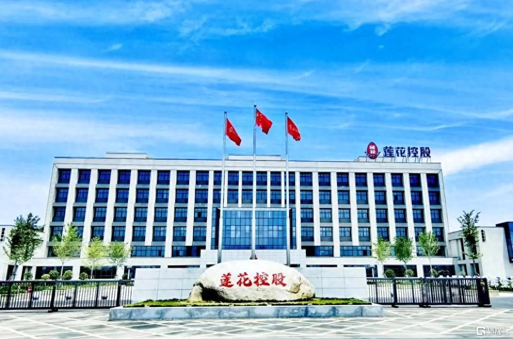 莲花控股1.jpeg