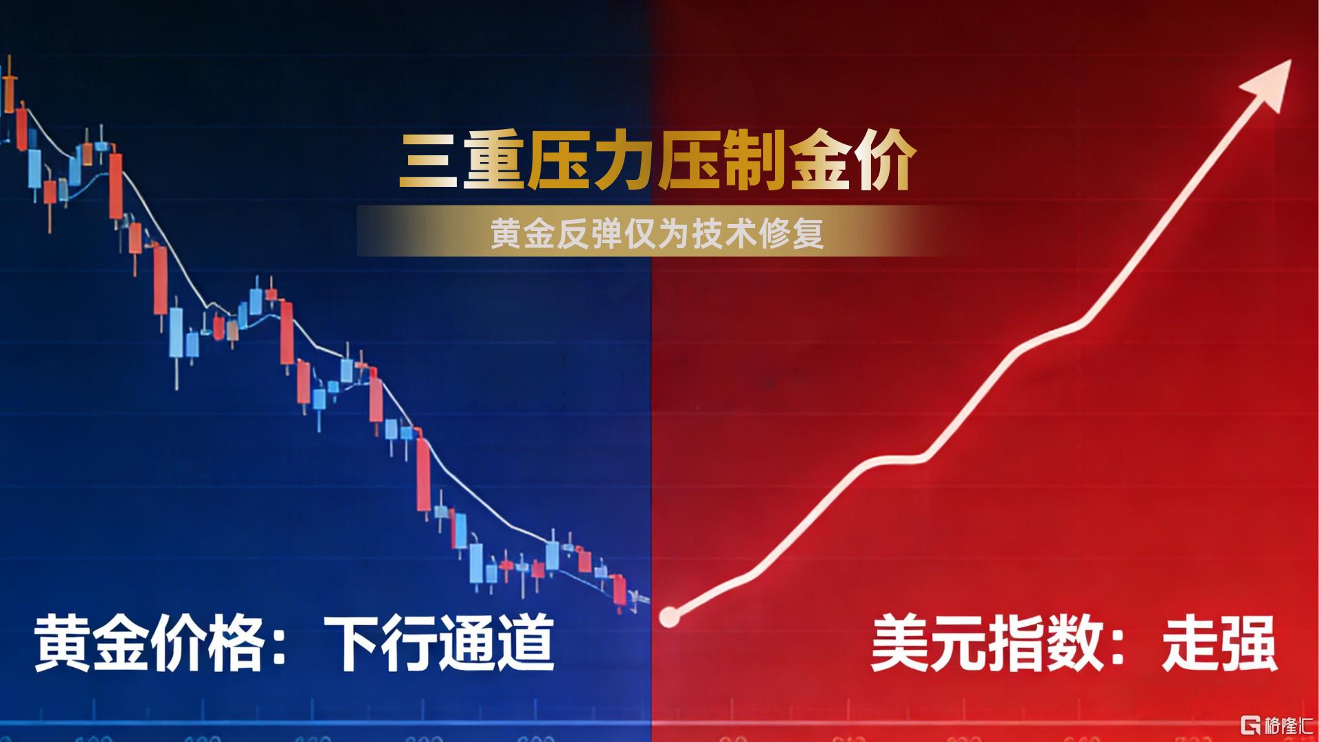 20260325-1 (3).png