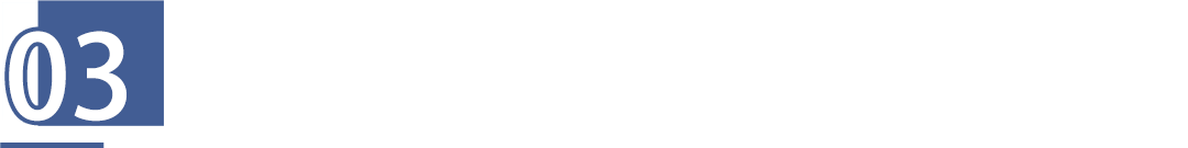 03.png