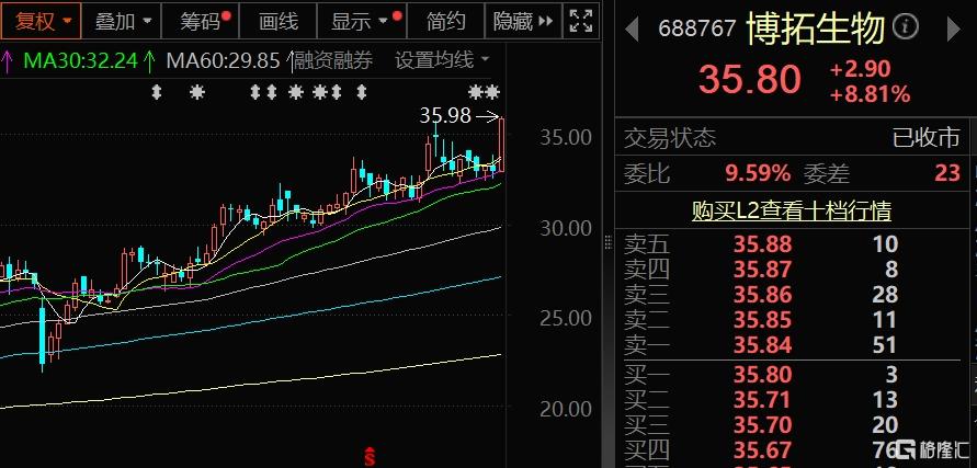 脑机接口3.jpg
