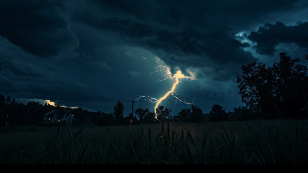 cover_pic