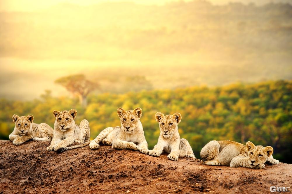 iStock-479446229.jpg