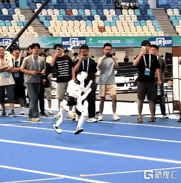 2.gif