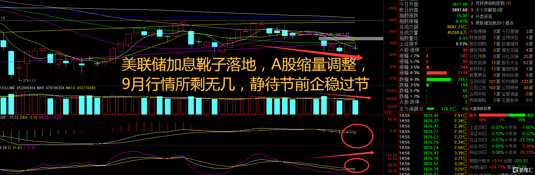 热帖图片