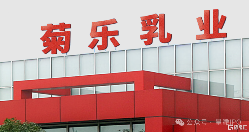 菊乐奶1.jpg
