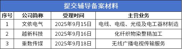 8 提交辅导.png