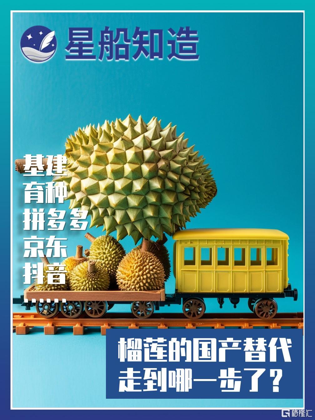 榴莲1.jpg