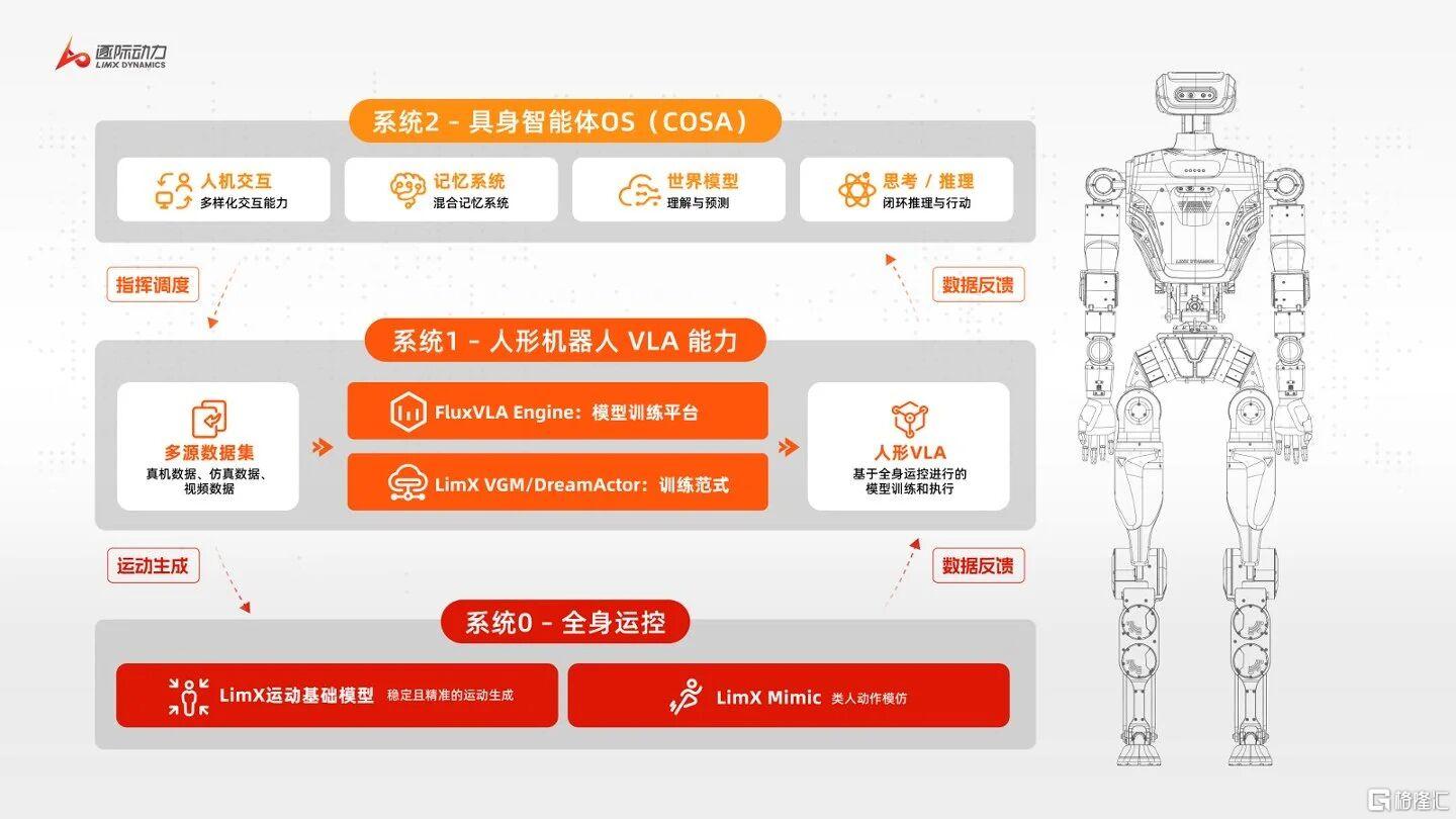 逐际图片1.jpeg