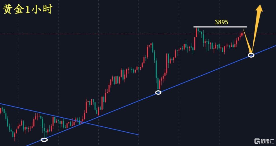 黄金1小时.png