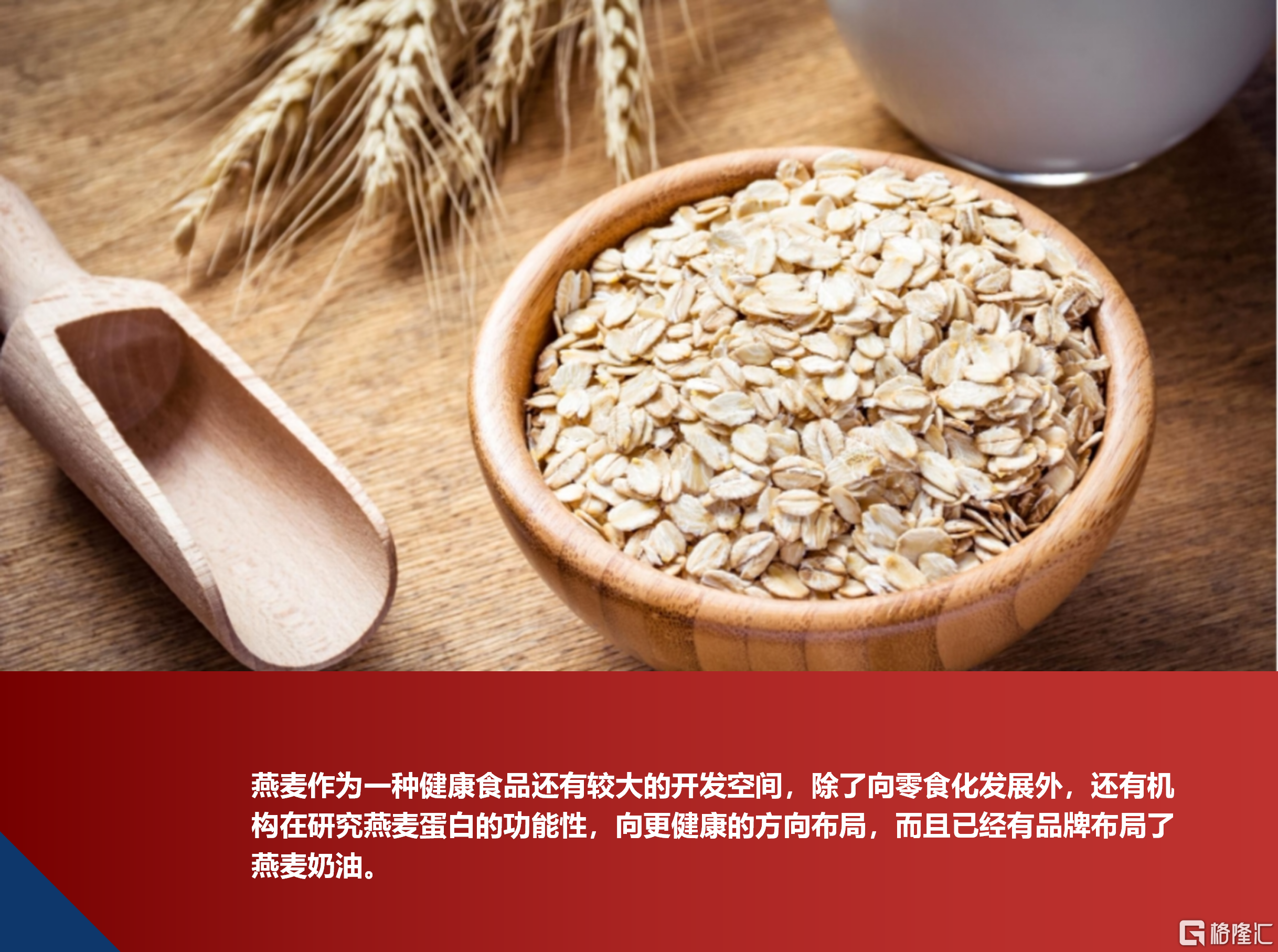 燕麦.png