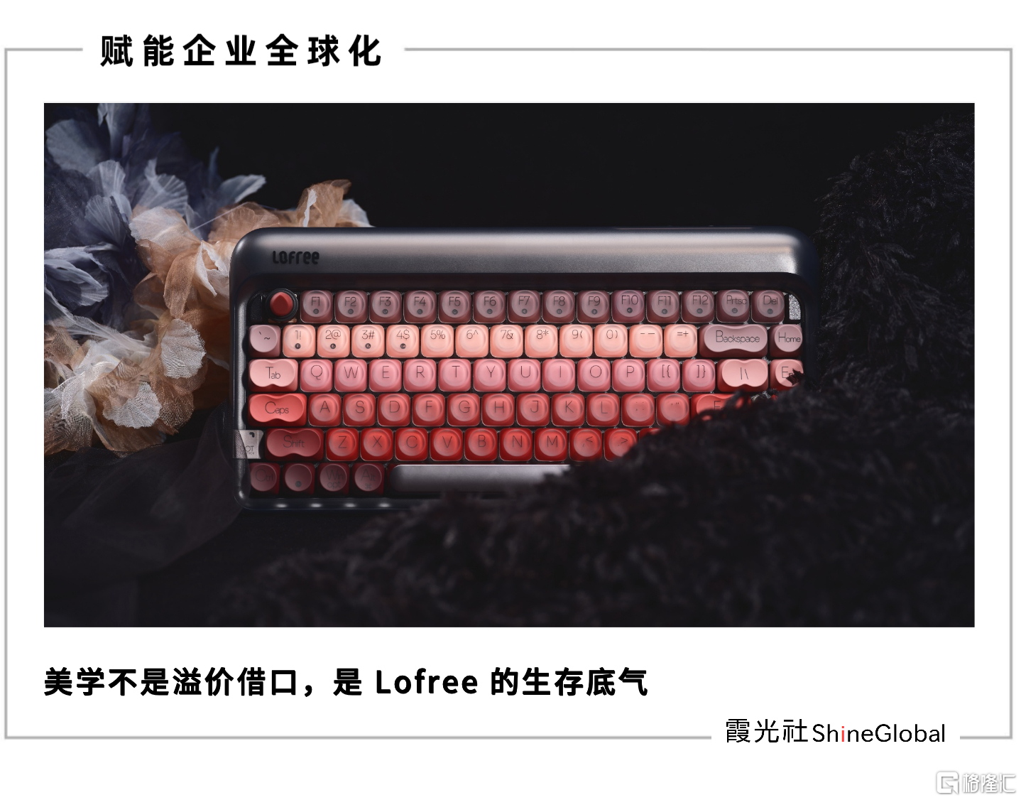 lofree首图.png