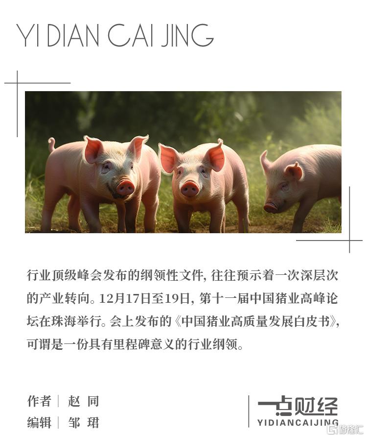 顶图模板.jpg