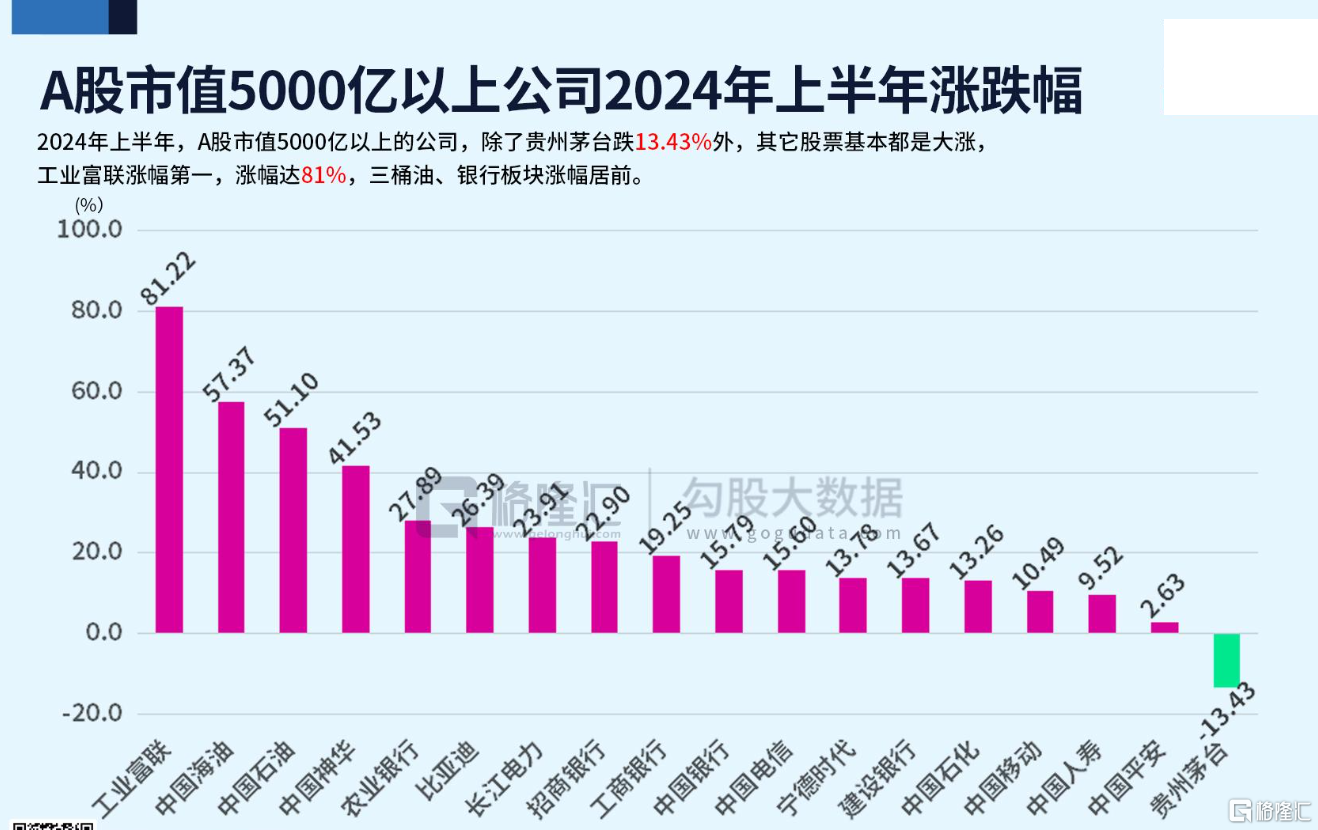 20240803 22  5000亿以上市值 上半年涨幅.PNG