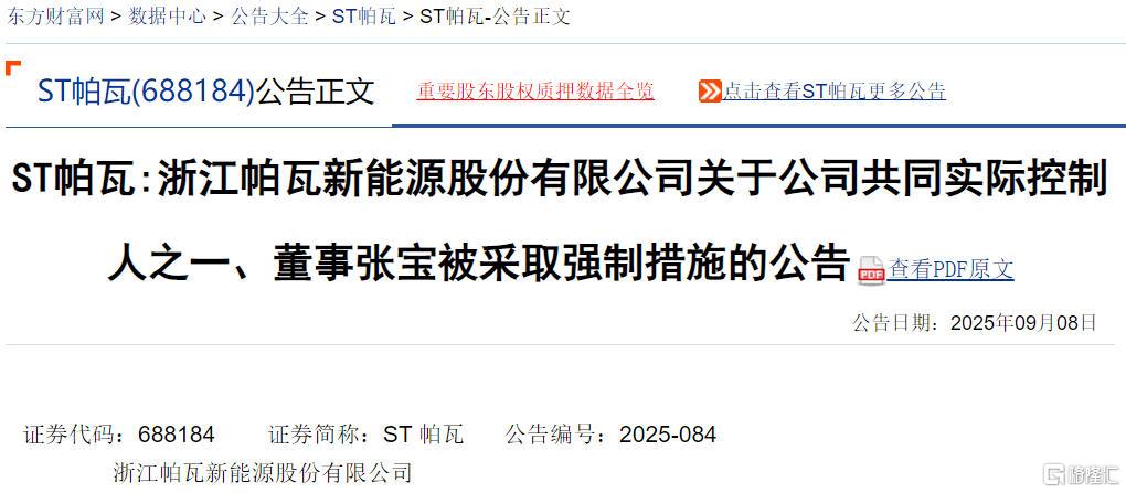 帕瓦股份.jpg