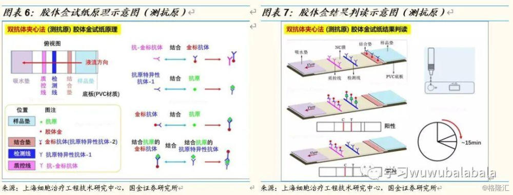 通过核酸,抗原和抗体多种检测方式联合应用,缩短检测窗口期,提高阳性