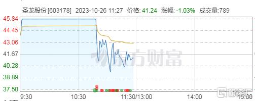 圣龙股份1.jpg