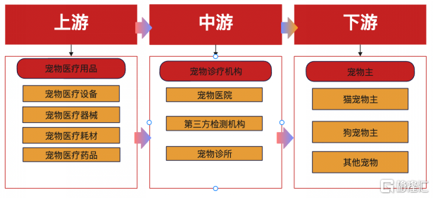 宠物医疗2.png