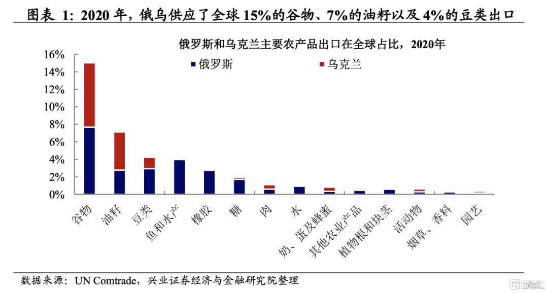 俄乌冲突的外溢效应:局部粮食危机风险上升